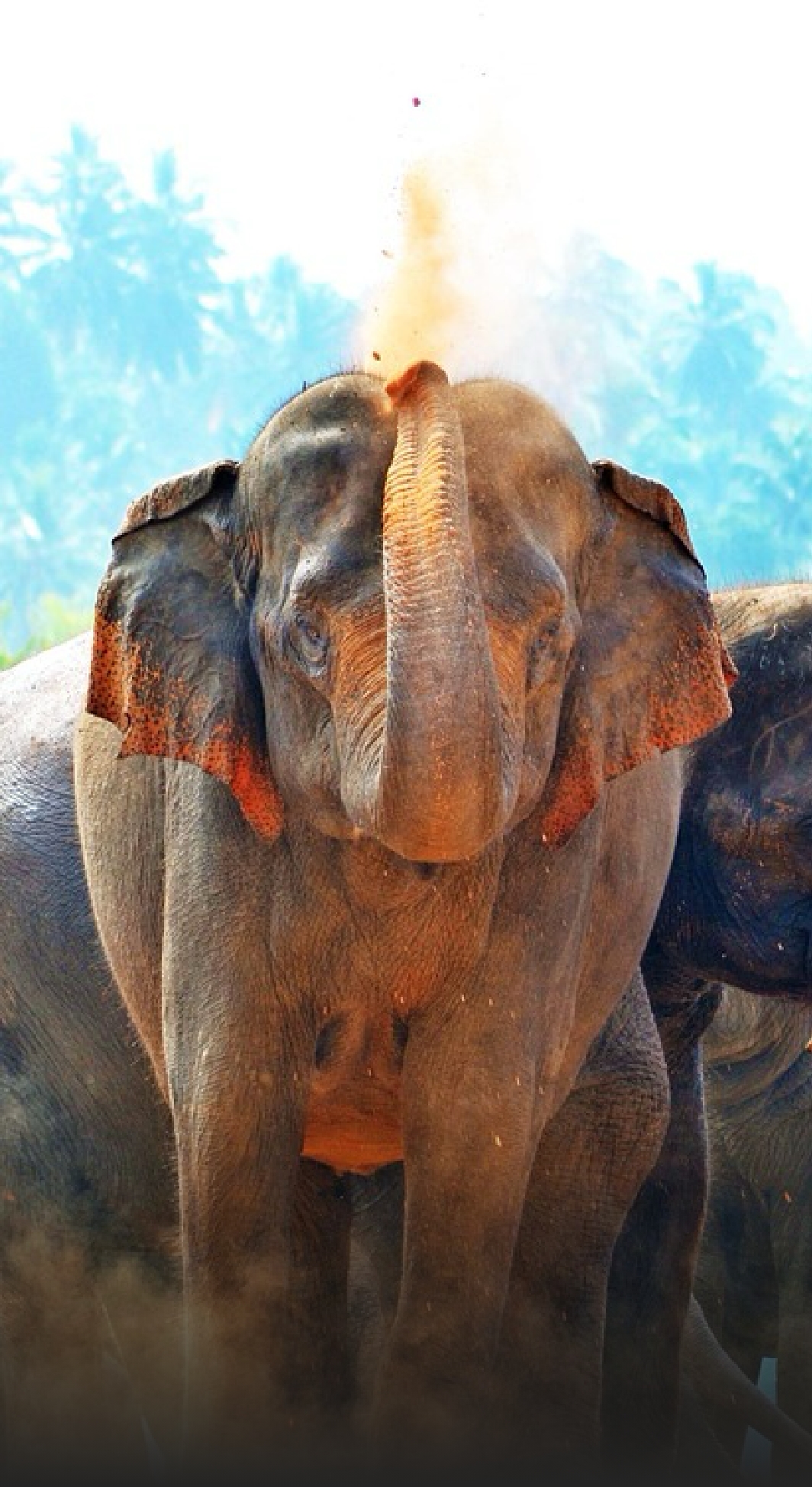 3 Days 4 Nights Tour Package