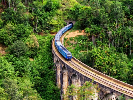 Train ride over demodara Nine Arch cultural highland escape