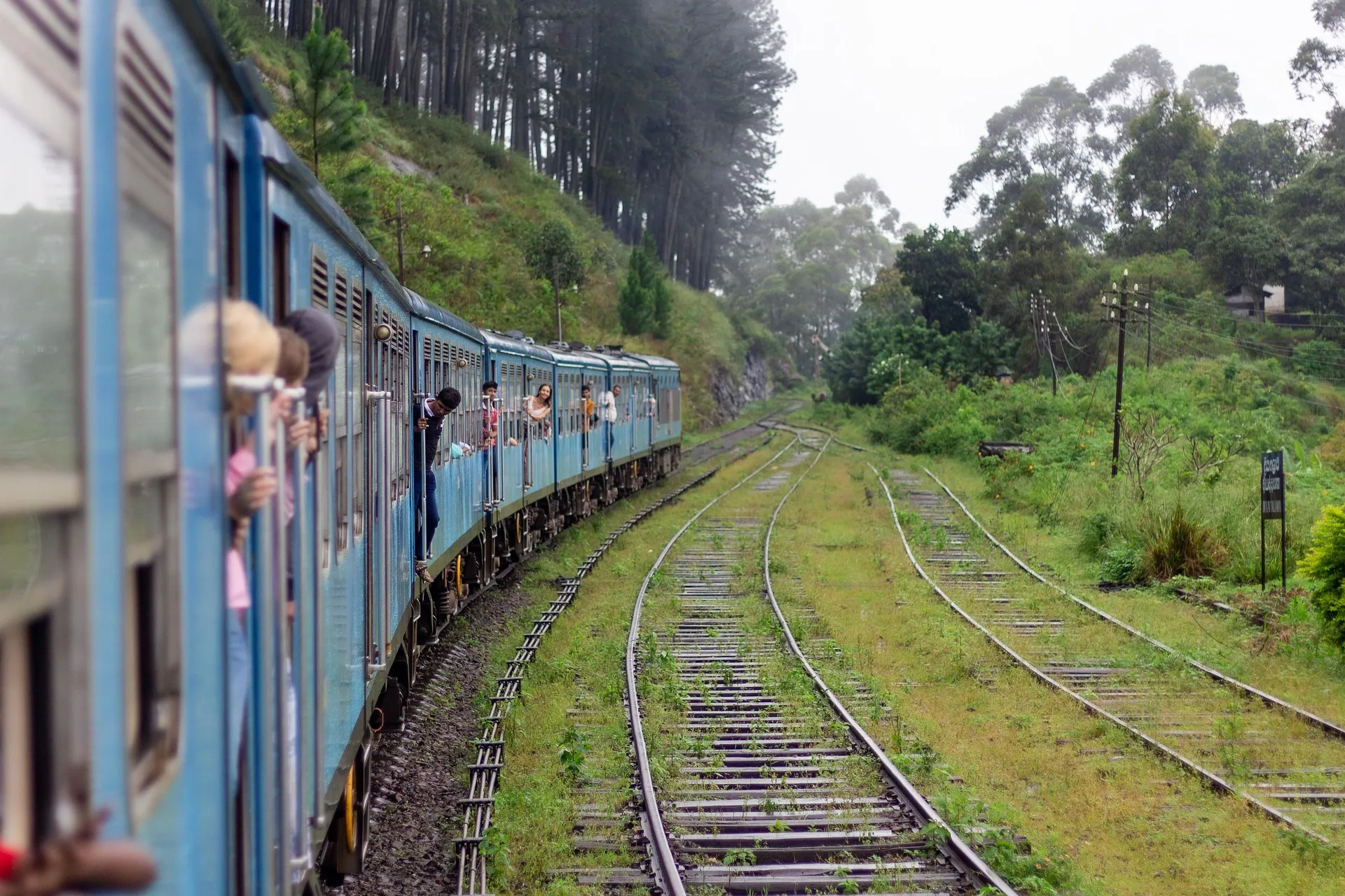 Nuwaraeliya Tour
